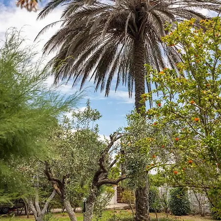 St. George Semesterpark *